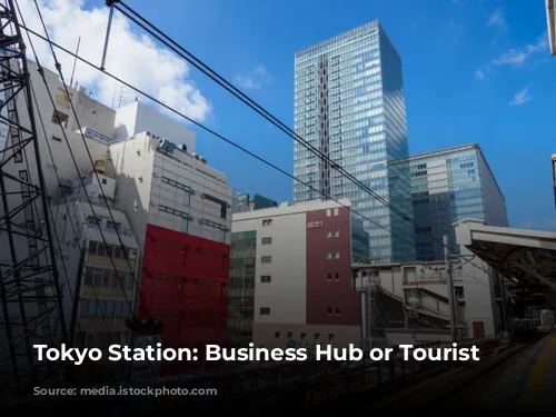 Tokyo Station: Business Hub or Tourist Trap?