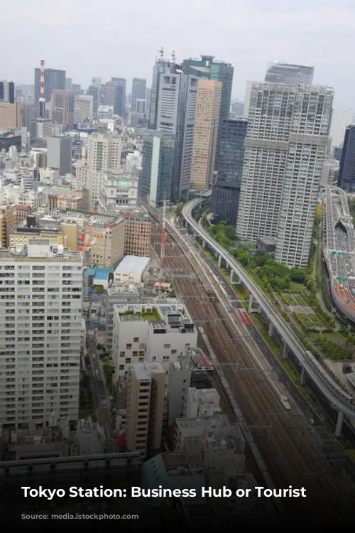 Tokyo Station: Business Hub or Tourist Trap?