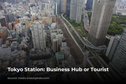 Tokyo Station: Business Hub or Tourist Trap?