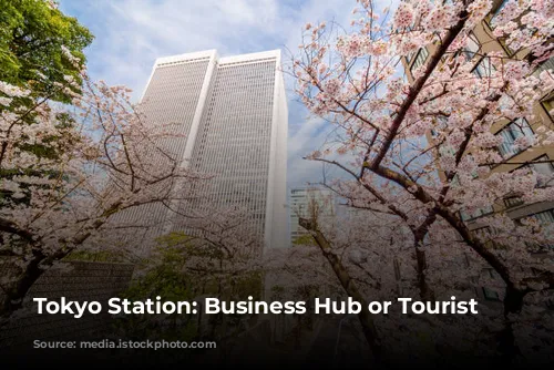 Tokyo Station: Business Hub or Tourist Trap?