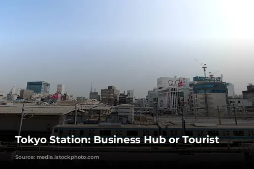 Tokyo Station: Business Hub or Tourist Trap?