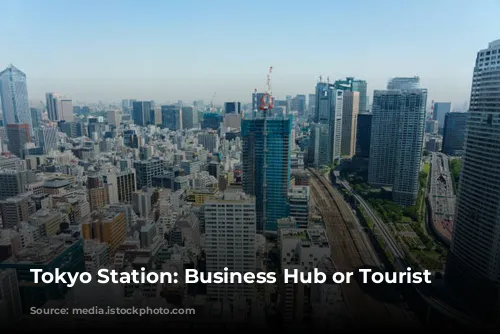 Tokyo Station: Business Hub or Tourist Trap?