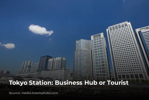 Tokyo Station: Business Hub or Tourist Trap?