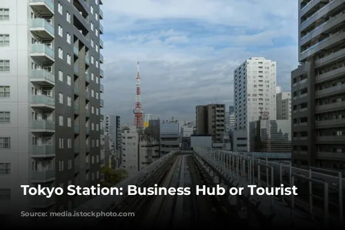 Tokyo Station: Business Hub or Tourist Trap?