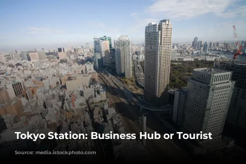 Tokyo Station: Business Hub or Tourist Trap?