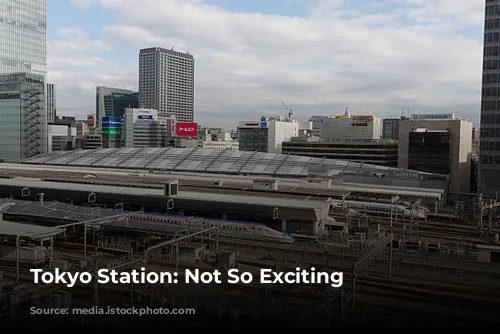 Tokyo Station: Not So Exciting