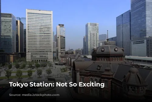 Tokyo Station: Not So Exciting