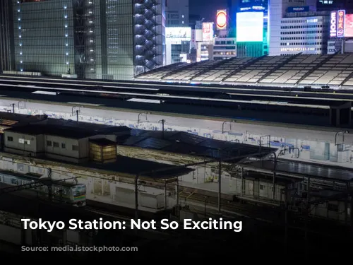 Tokyo Station: Not So Exciting