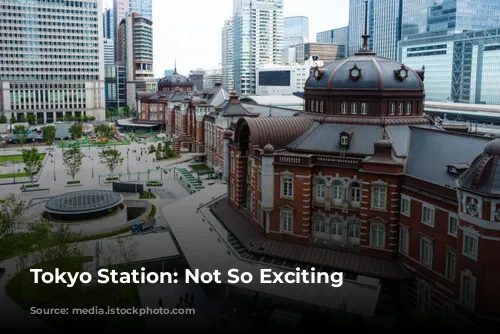 Tokyo Station: Not So Exciting