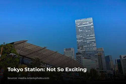 Tokyo Station: Not So Exciting