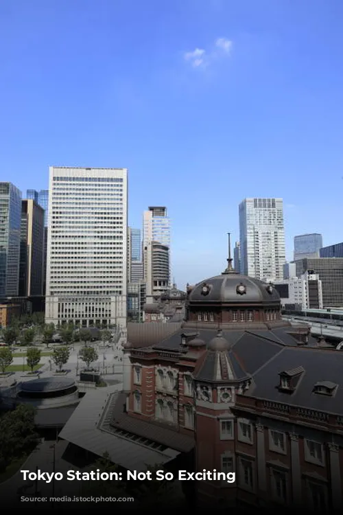 Tokyo Station: Not So Exciting