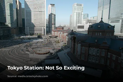 Tokyo Station: Not So Exciting