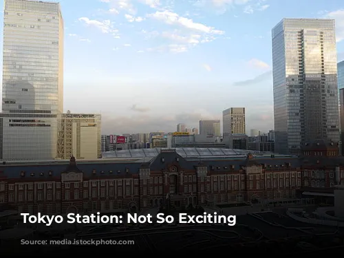 Tokyo Station: Not So Exciting