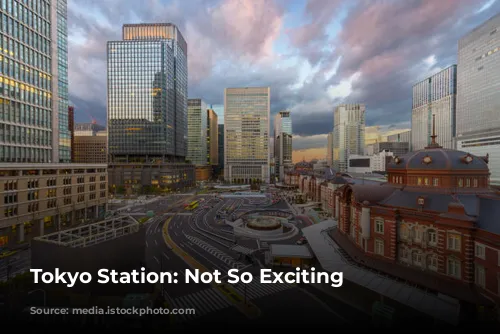 Tokyo Station: Not So Exciting