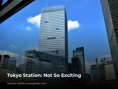 Tokyo Station: Not So Exciting