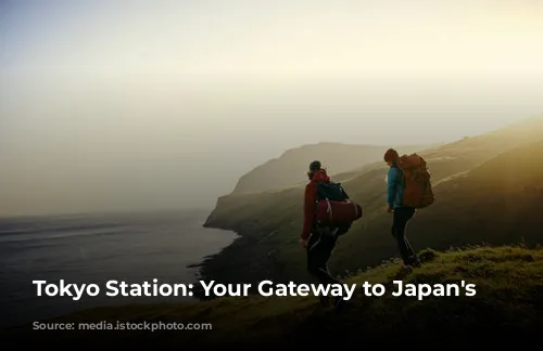 Tokyo Station: Your Gateway to Japan's Capital