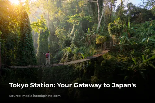 Tokyo Station: Your Gateway to Japan's Capital