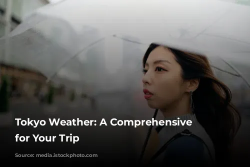 Tokyo Weather: A Comprehensive Guide for Your Trip