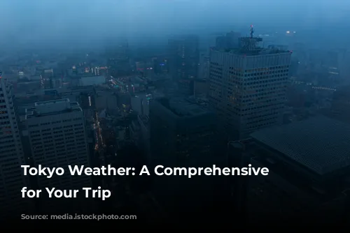 Tokyo Weather: A Comprehensive Guide for Your Trip