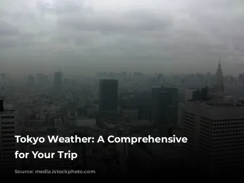 Tokyo Weather: A Comprehensive Guide for Your Trip