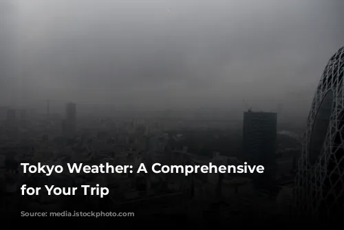 Tokyo Weather: A Comprehensive Guide for Your Trip