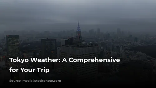 Tokyo Weather: A Comprehensive Guide for Your Trip