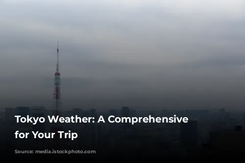 Tokyo Weather: A Comprehensive Guide for Your Trip