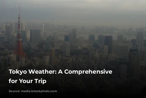 Tokyo Weather: A Comprehensive Guide for Your Trip