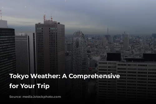 Tokyo Weather: A Comprehensive Guide for Your Trip