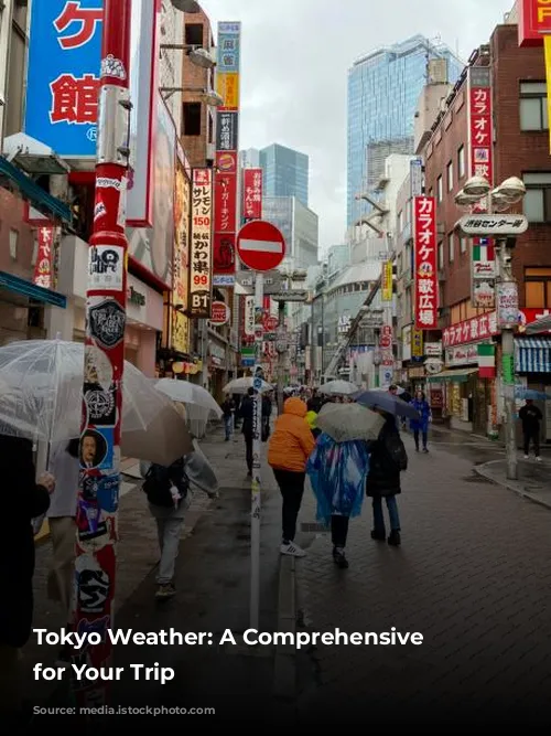 Tokyo Weather: A Comprehensive Guide for Your Trip