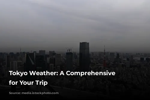 Tokyo Weather: A Comprehensive Guide for Your Trip