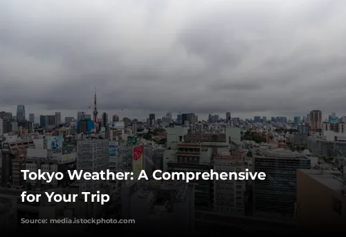 Tokyo Weather: A Comprehensive Guide for Your Trip