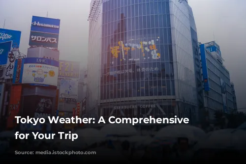 Tokyo Weather: A Comprehensive Guide for Your Trip