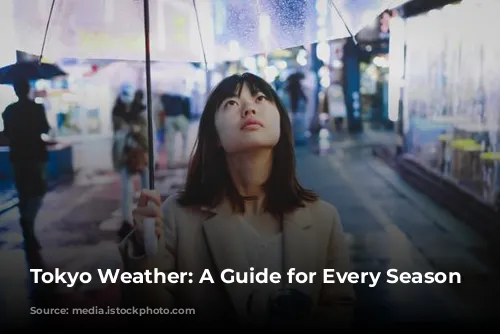 Tokyo Weather: A Guide for Every Season