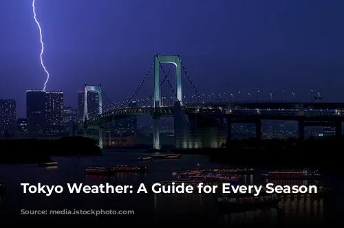 Tokyo Weather: A Guide for Every Season