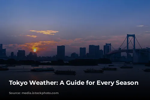 Tokyo Weather: A Guide for Every Season