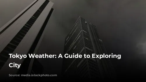 Tokyo Weather: A Guide to Exploring the City