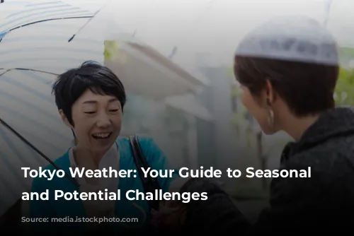 Tokyo Weather: Your Guide to Seasonal Delights and Potential Challenges