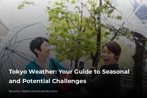 Tokyo Weather: Your Guide to Seasonal Delights and Potential Challenges