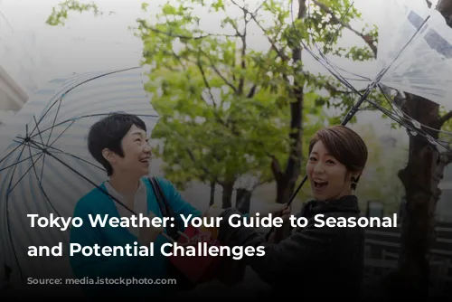 Tokyo Weather: Your Guide to Seasonal Delights and Potential Challenges