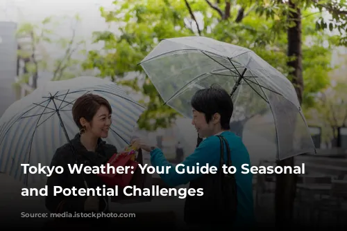 Tokyo Weather: Your Guide to Seasonal Delights and Potential Challenges