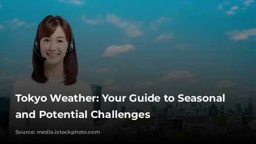 Tokyo Weather: Your Guide to Seasonal Delights and Potential Challenges