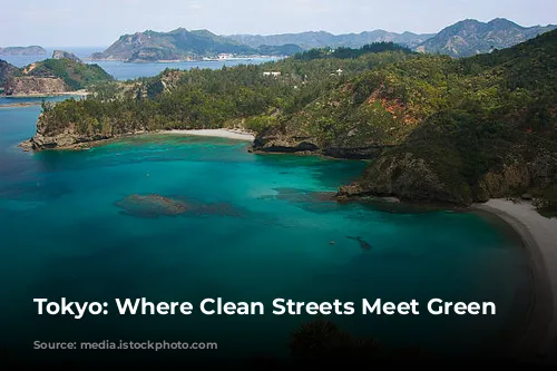 Tokyo: Where Clean Streets Meet Green Living