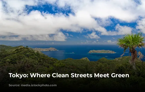 Tokyo: Where Clean Streets Meet Green Living