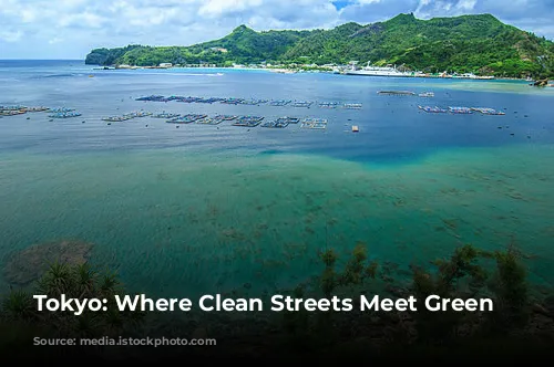 Tokyo: Where Clean Streets Meet Green Living