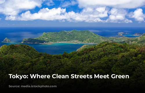 Tokyo: Where Clean Streets Meet Green Living