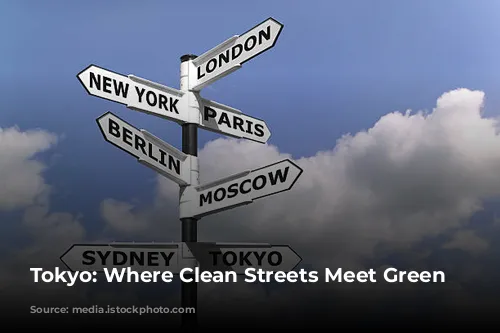 Tokyo: Where Clean Streets Meet Green Living