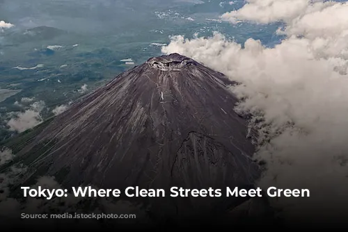 Tokyo: Where Clean Streets Meet Green Living