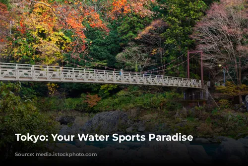  Tokyo: Your Water Sports Paradise 