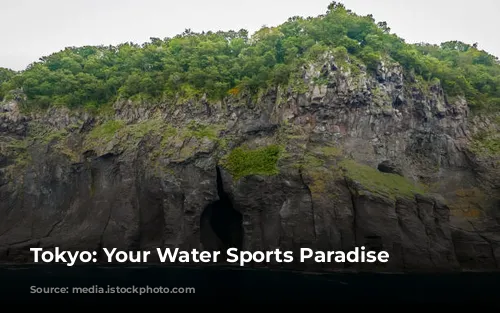  Tokyo: Your Water Sports Paradise 